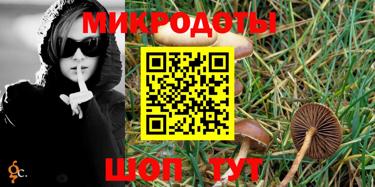 Галлюциногенные грибы Чита