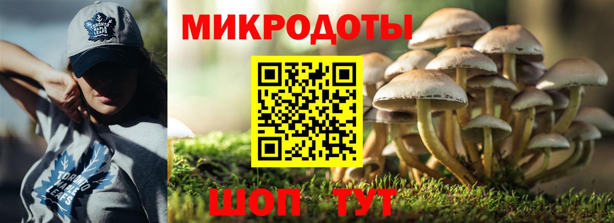 Чита  дарнет шоп  Вход с VPN  Псилоцибиновые грибы MAGIC MUSHROOMS 